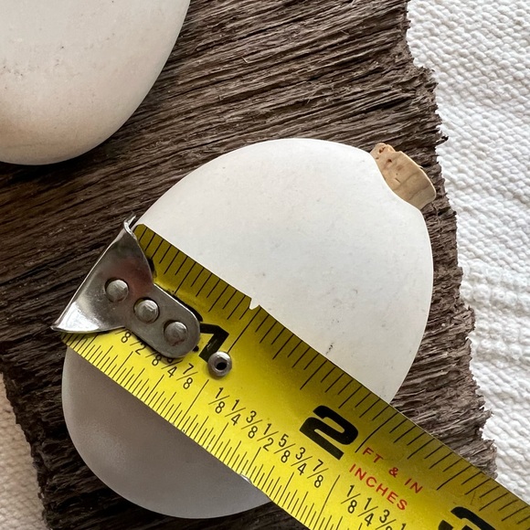 Salt and Pepper Shakers Pigeon Toe Ceramics Natural White Ceramic - Picture 7 of 9
